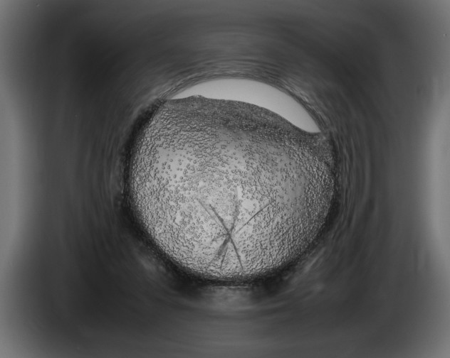 X0000083600303200703021920