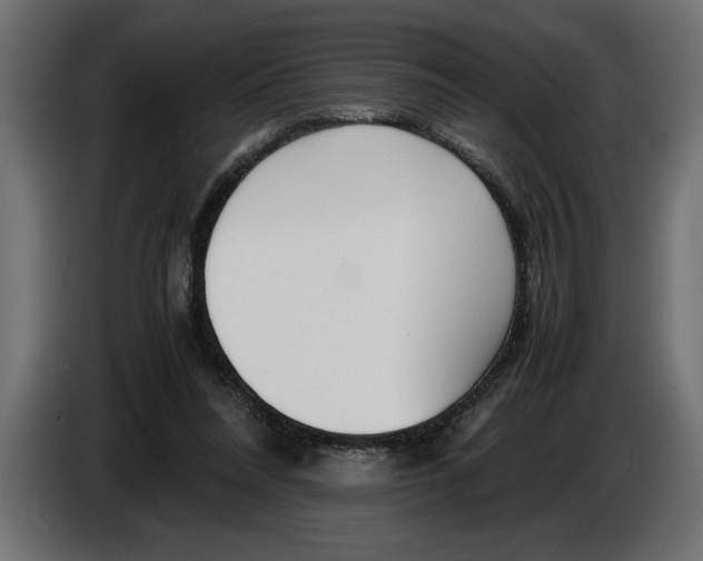 X0000083600304200703021920