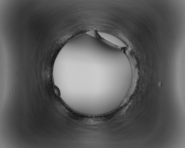 X0000083600305200703021920