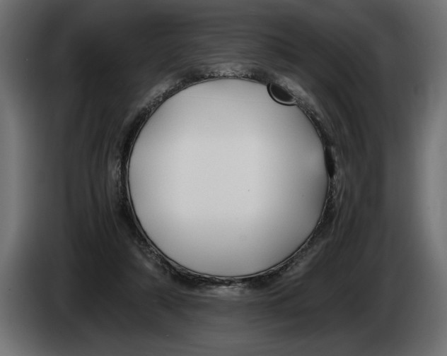 X0000083600306200703021920