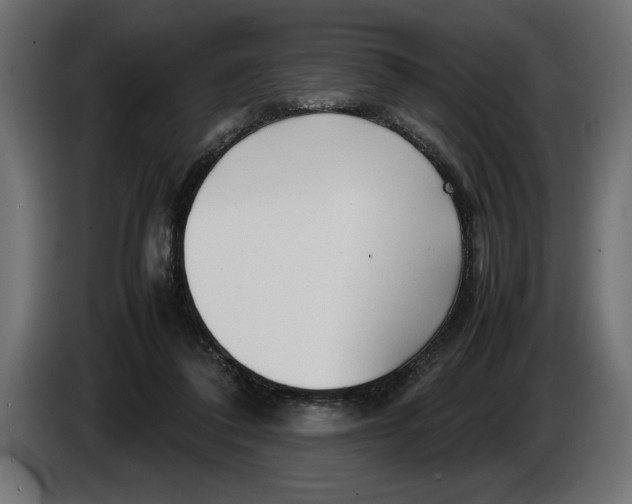 X0000083600308200703021920