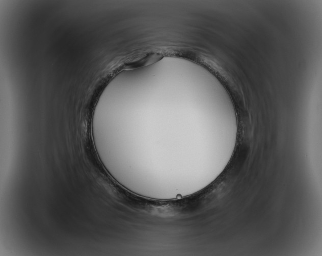 X0000083600309200703021920