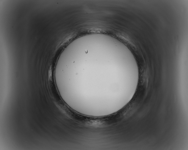 X0000083600310200703021920