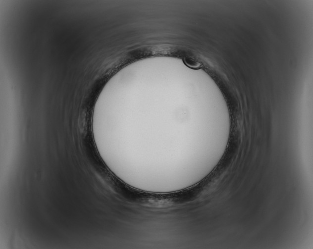 X0000083600311200703021920