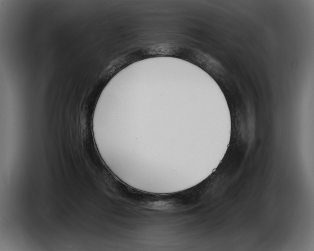 X0000083600312200703021920