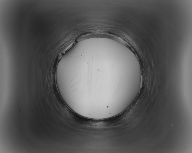 X0000083600313200703021920