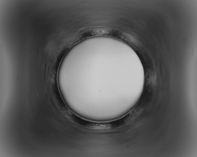 X0000083600315200703021920