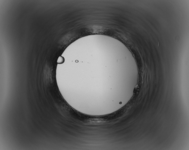 X0000083600316200703021920