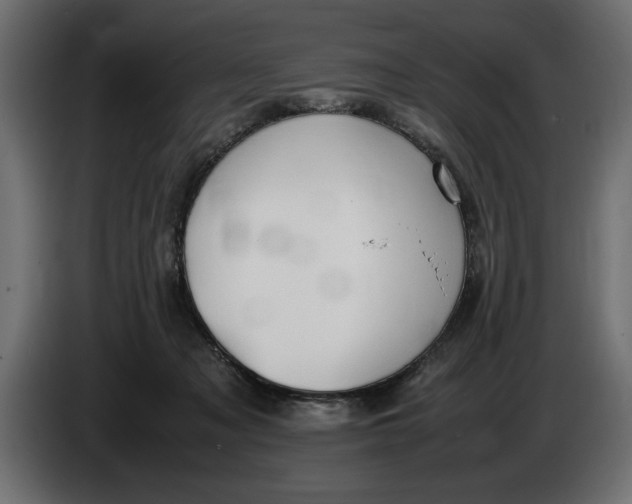 X0000083600317200703021920