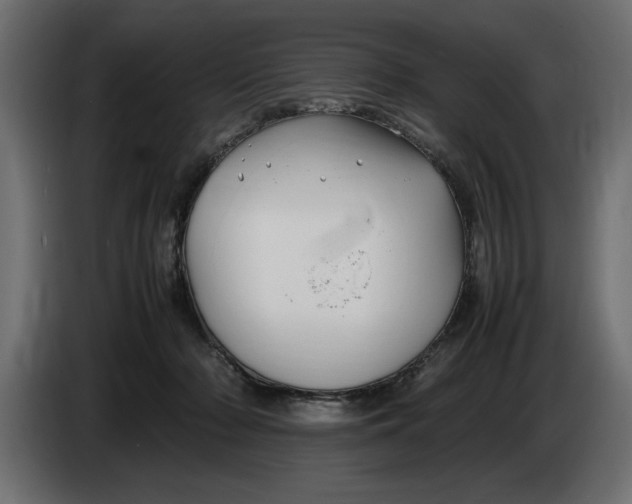 X0000083600318200703021920