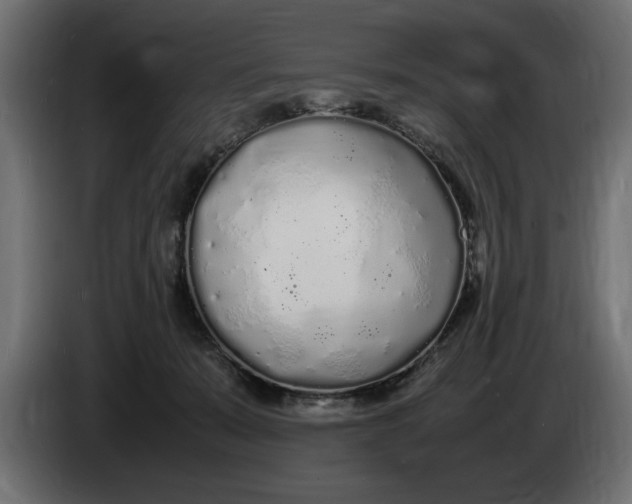 X0000083600319200703021920