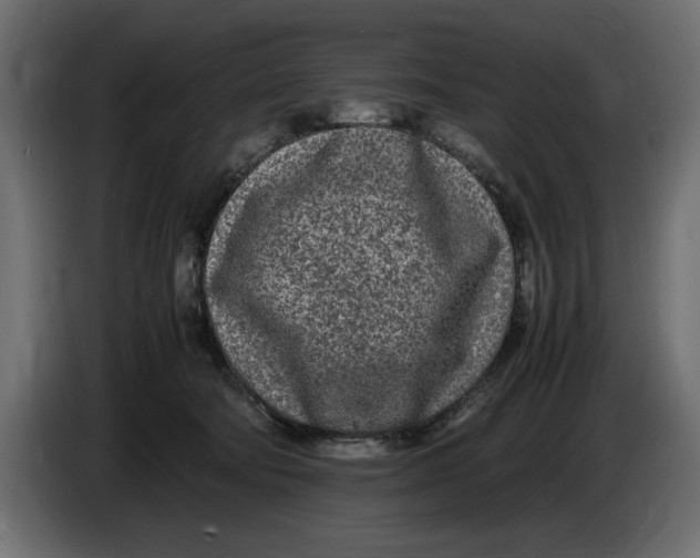 X0000083600322200703021920