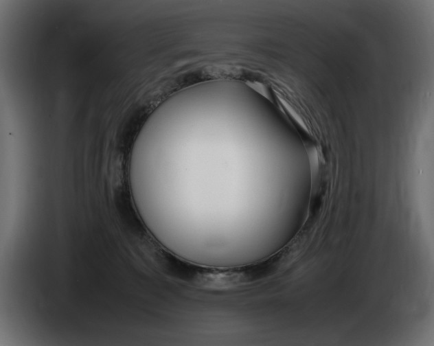 X0000083600323200703021920