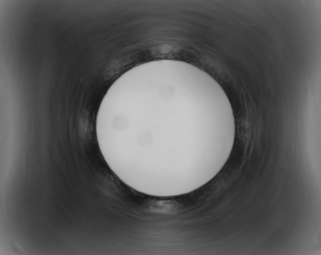 X0000083600324200703021920