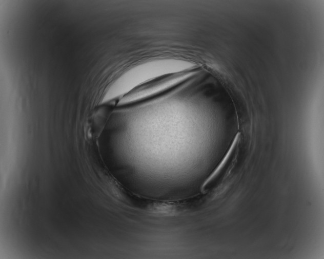 X0000083600325200703021920