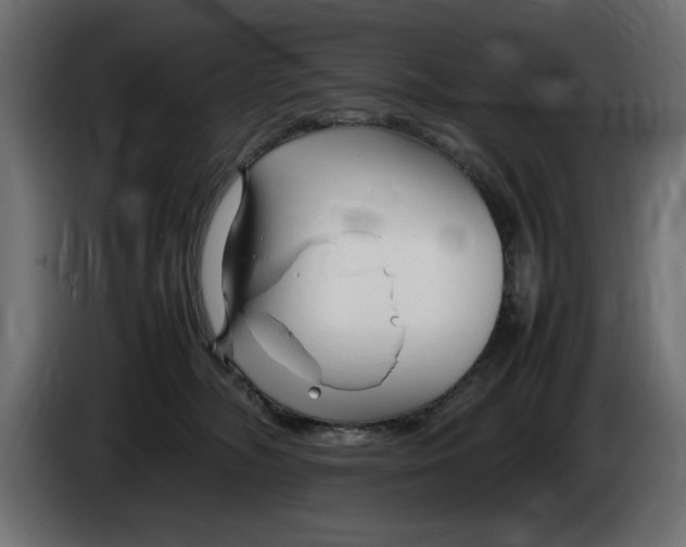 X0000083600326200703021920