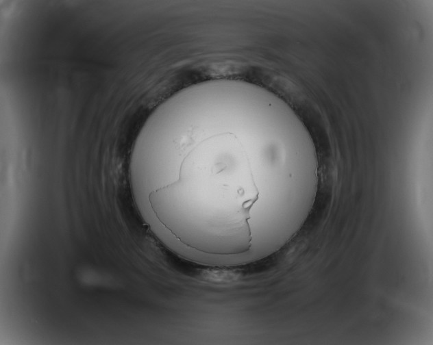 X0000083600327200703021920