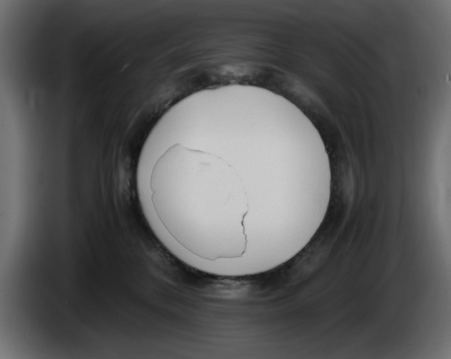 X0000083600328200703021920