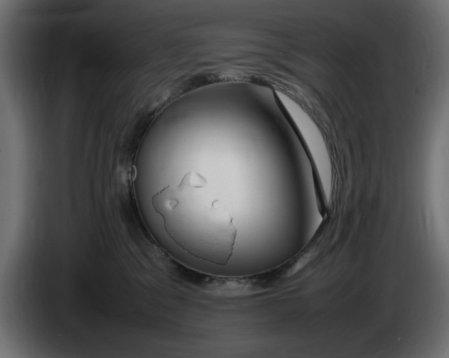 X0000083600329200703021920