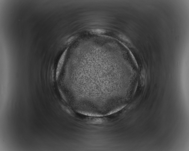 X0000083600330200703021920