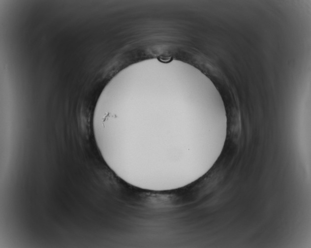 X0000083600332200703021920