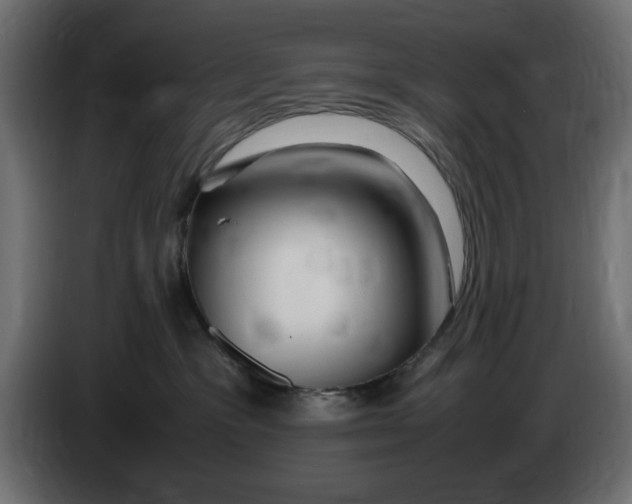 X0000083600333200703021920