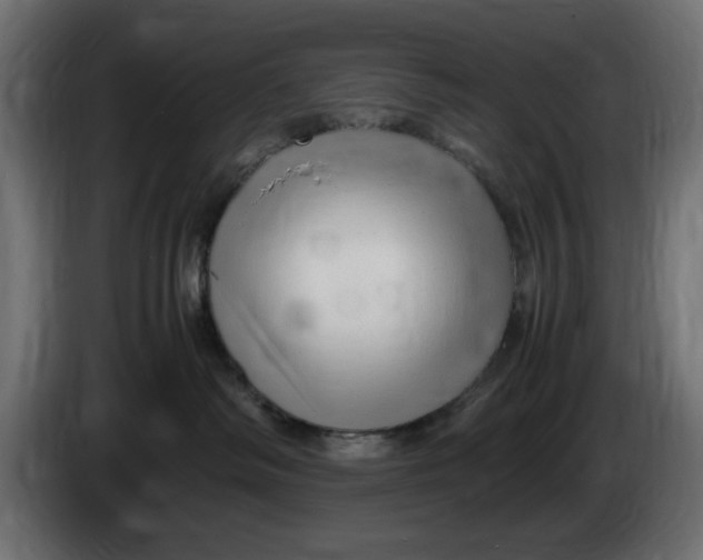 X0000083600334200703021920