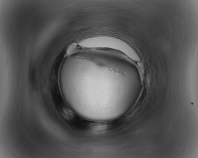 X0000083600335200703021920