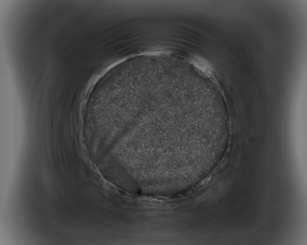 X0000083600337200703021919