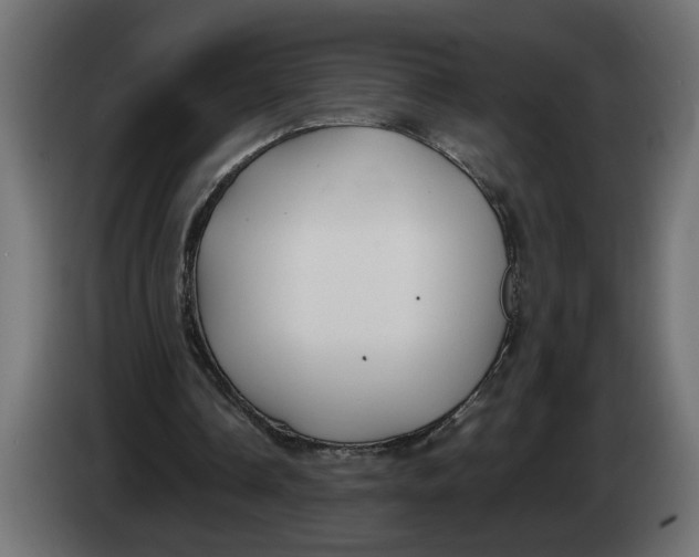 X0000083600338200703021919