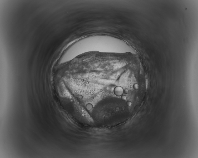 X0000083600339200703021919