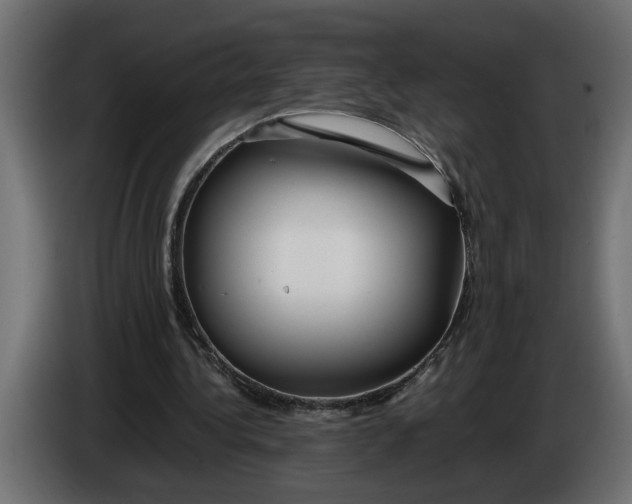 X0000083600340200703021919