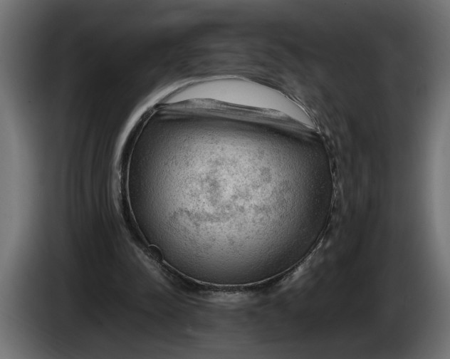 X0000083600342200703021919