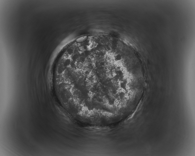 X0000083600343200703021919