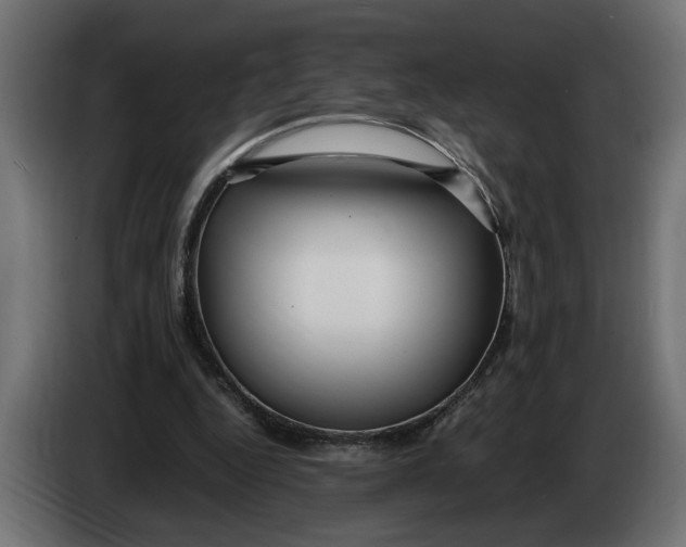 X0000083600344200703021919