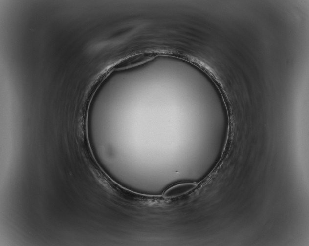 X0000083600345200703021919