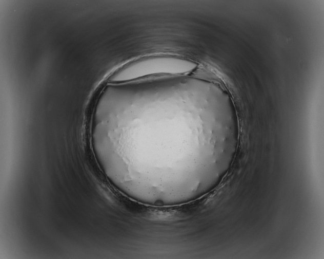 X0000083600346200703021919