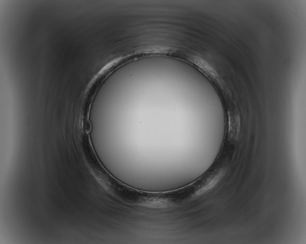 X0000083600348200703021919