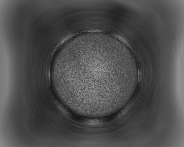 X0000083600349200703021919