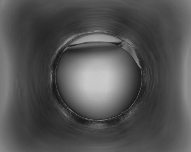 X0000083600350200703021919