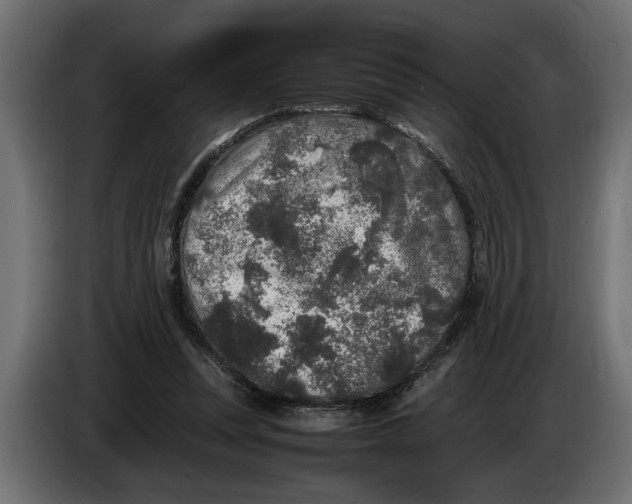 X0000083600351200703021919