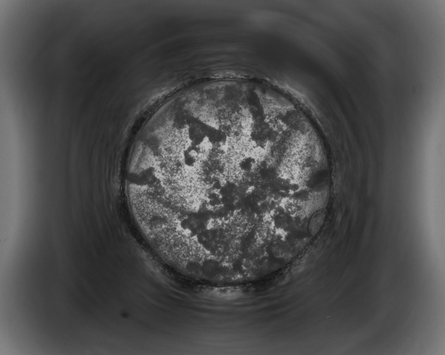 X0000083600353200703021919