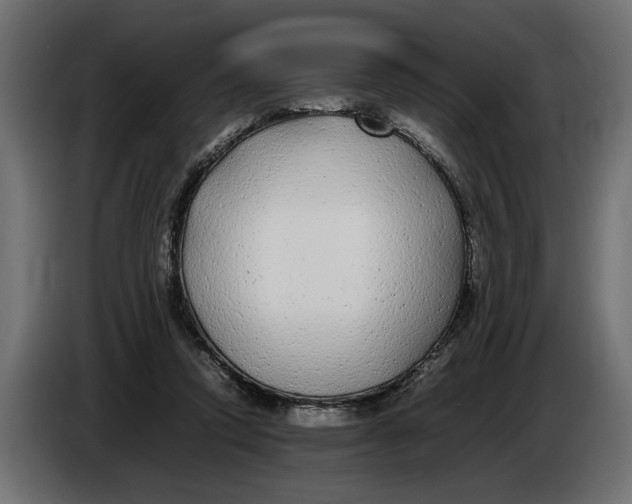 X0000083600354200703021919