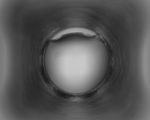 X0000083600356200703021919