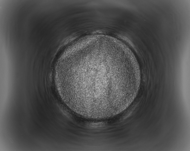 X0000083600357200703021919