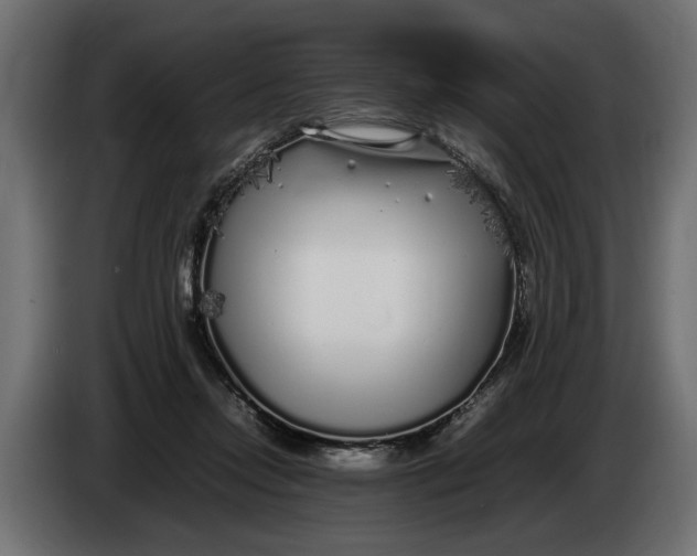 X0000083600358200703021919