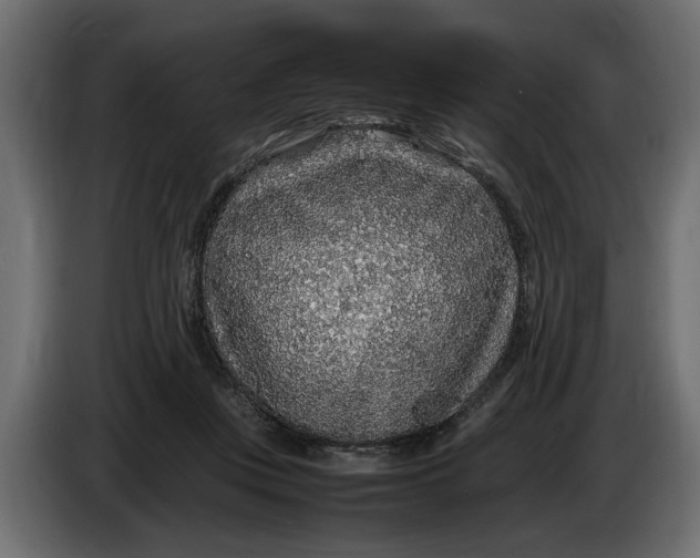 X0000083600359200703021919