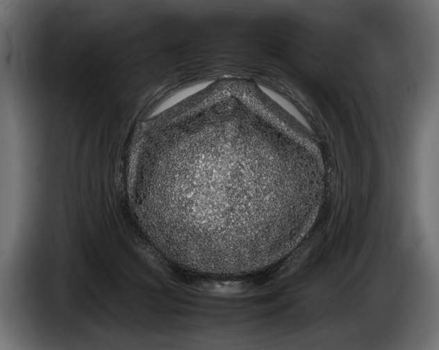 X0000083600361200703021919