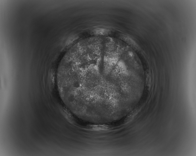 X0000083600363200703021919