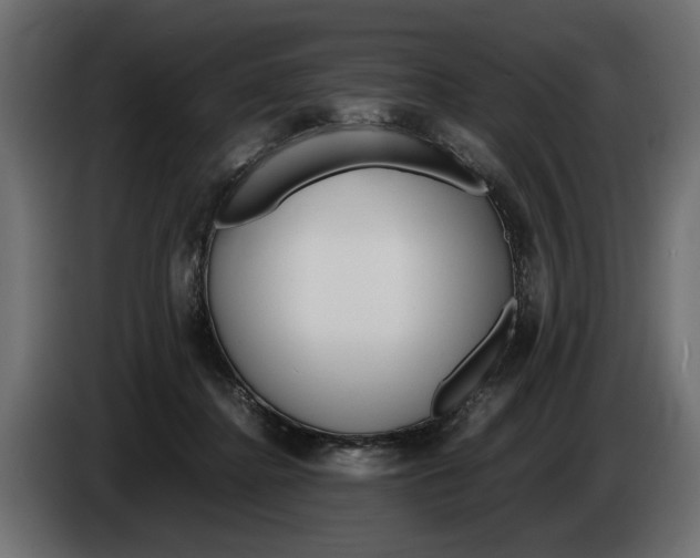 X0000083600364200703021919